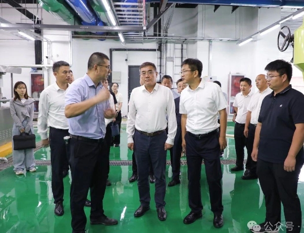 區委書記張軍察看項目建設并到貿易企業調研